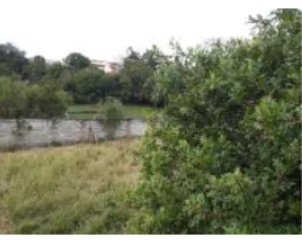 Rua Endereço somente para premium, N°0