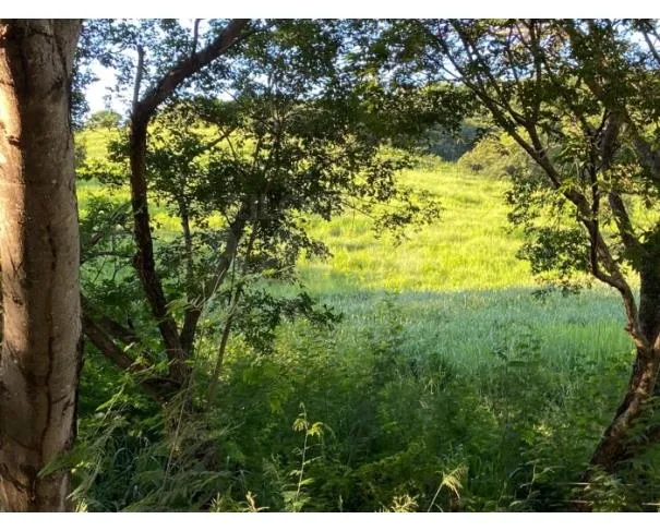 Rua Endereço somente para premium, N°0