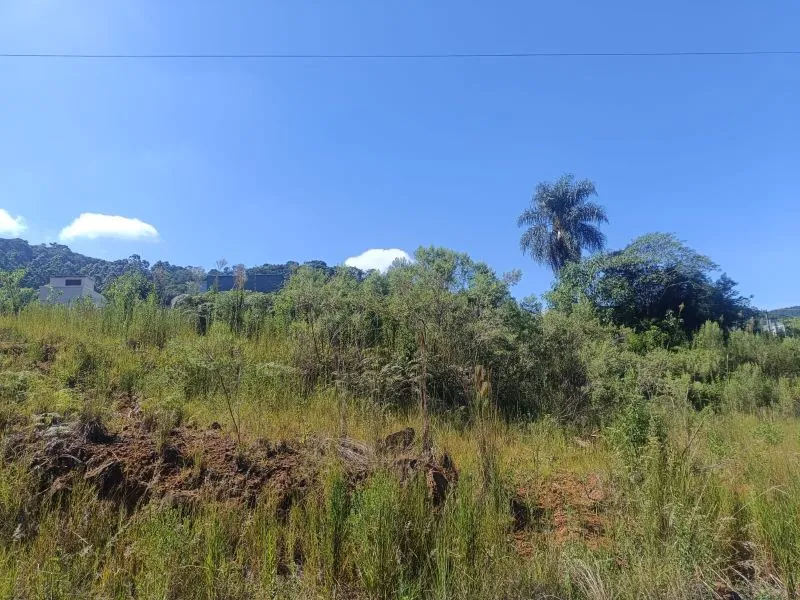Rua Endereço somente para premium, N°0
