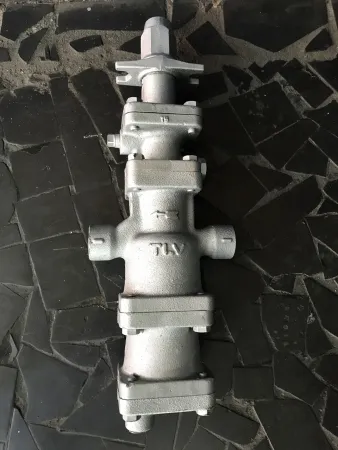 Rua Endereço somente para premium, N°0