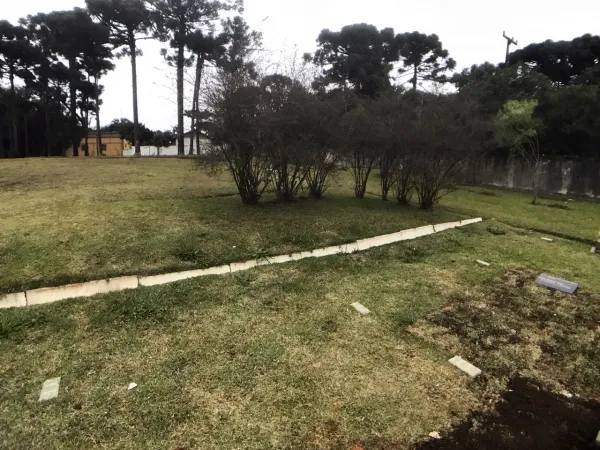 Rua Endereço somente para premium, N°0