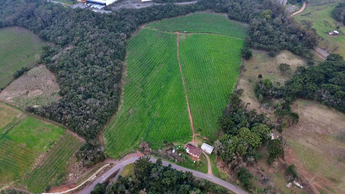 Rua Endereço somente para premium, N°0