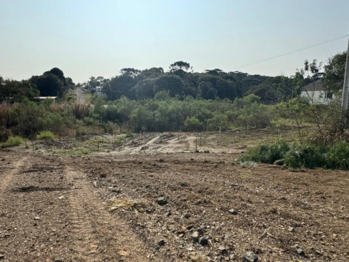 Rua Endereço somente para premium, N°0