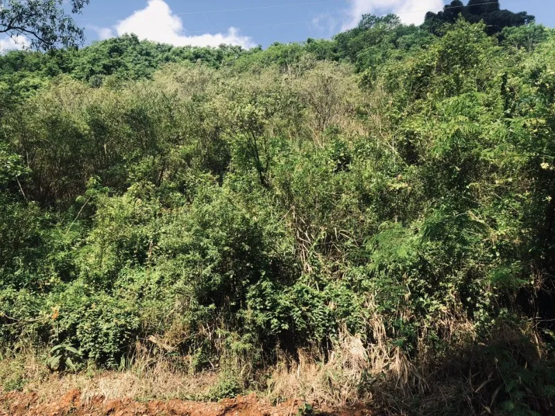 Rua Endereço somente para premium, N°0