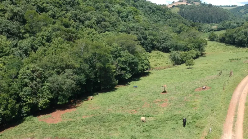 Rua Endereço somente para premium, N°0
