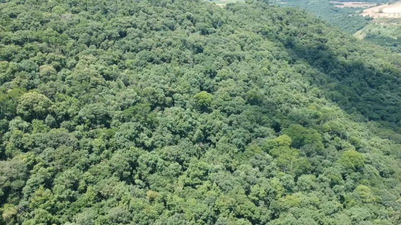 Rua Endereço somente para premium, N°0