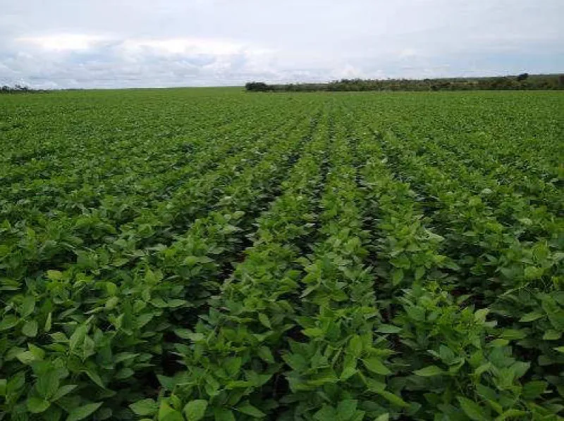 Rua Endereço somente para premium, N°0