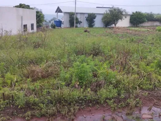 Rua Endereço somente para premium, N°0