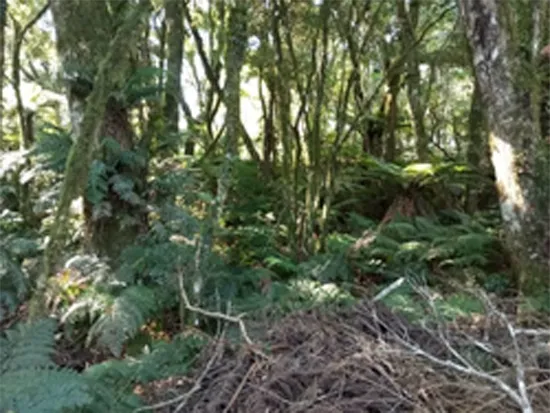 Rua Endereço somente para premium, N°0