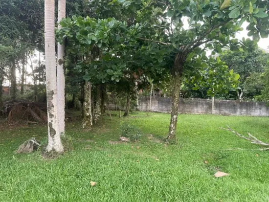 Rua Endereço somente para premium, N°0