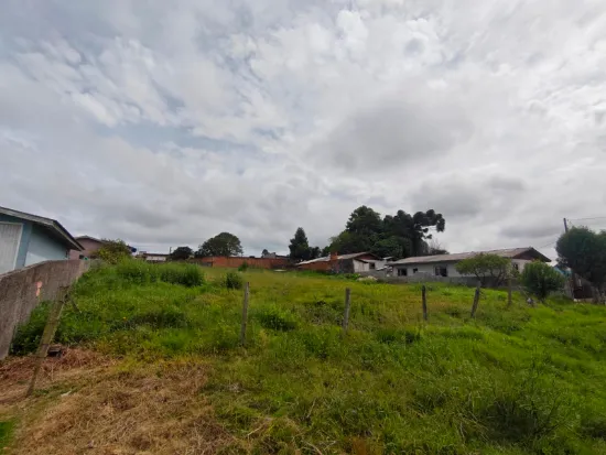 Rua Endereço somente para premium, N°0