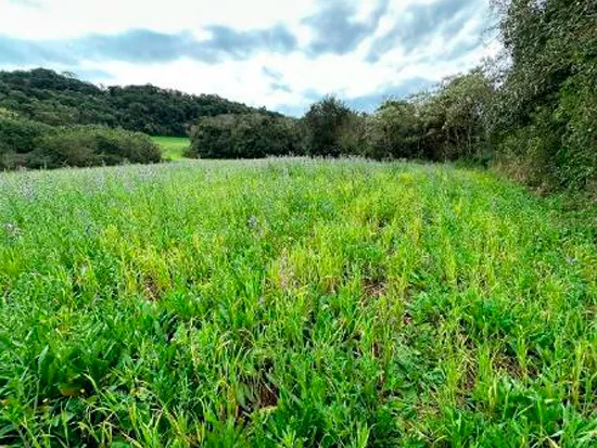 Rua Endereço somente para premium, N°0