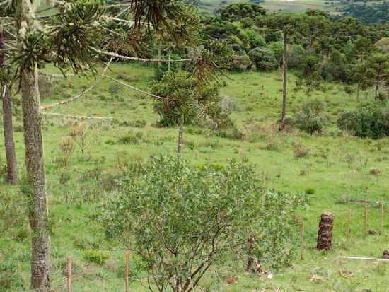 Rua Endereço somente para premium, N°0