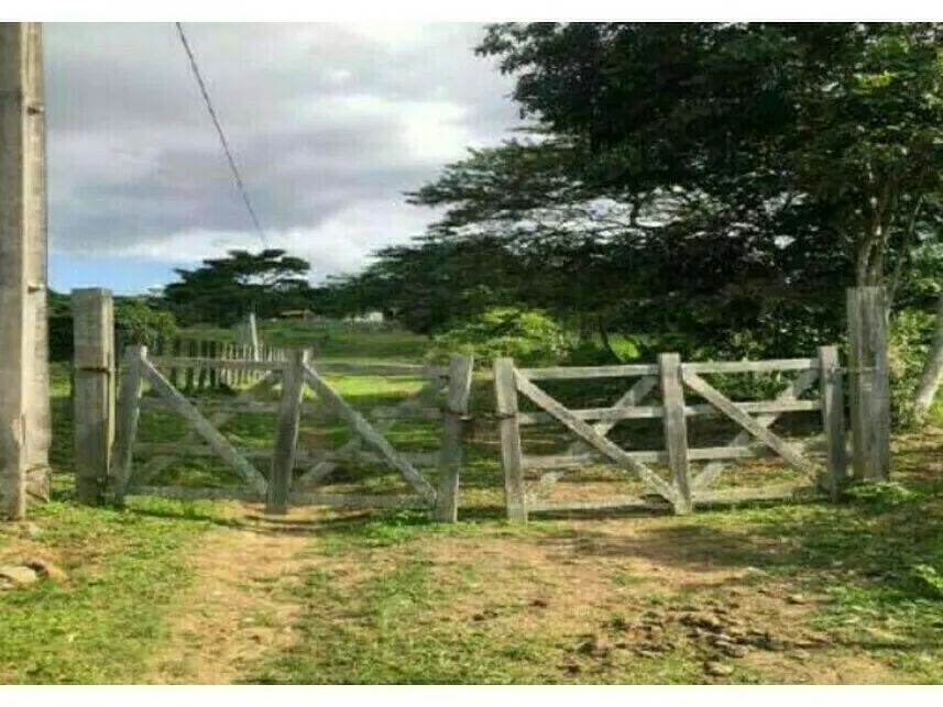 Rua Endereço somente para premium, N°0
