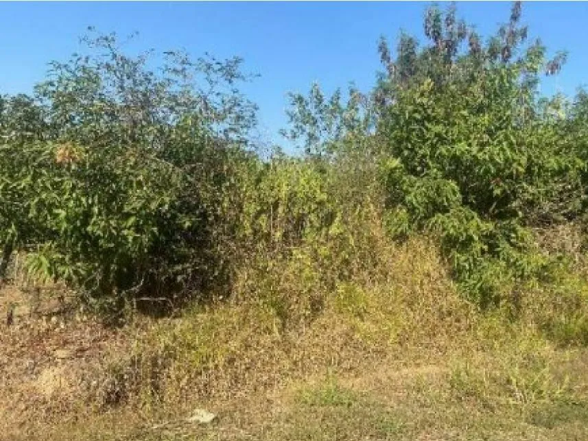 Rua Endereço somente para premium, N°0