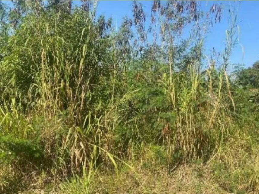 Rua Endereço somente para premium, N°0