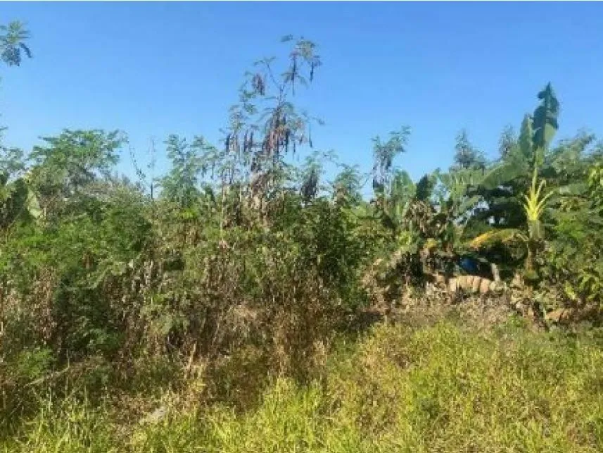 Rua Endereço somente para premium, N°0