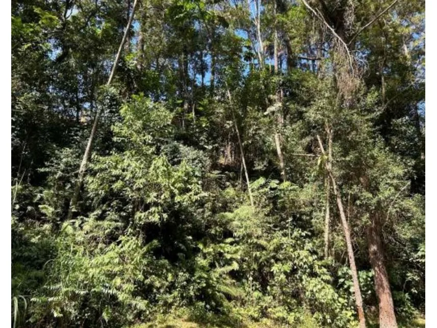 Rua Endereço somente para premium, N°0
