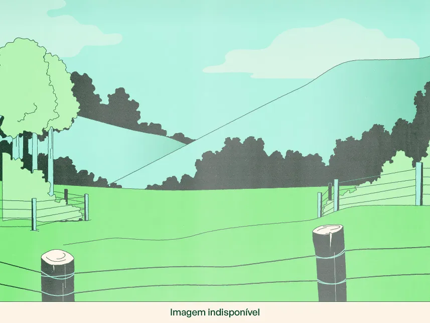 Rua Endereço somente para premium, N°0