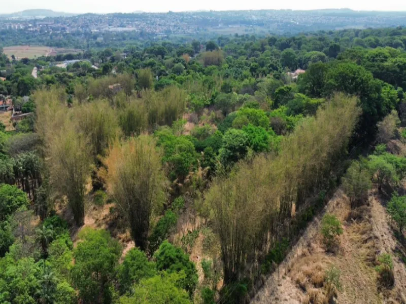 Rua Endereço somente para premium, N°0