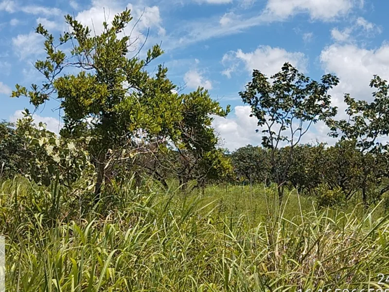 RUA PARANÁ, S/N, QUADRA 12, CHACARÁ 07, CHÁCARAS VERA CRUZ, LUZIÂNIA, GO, 13349-200