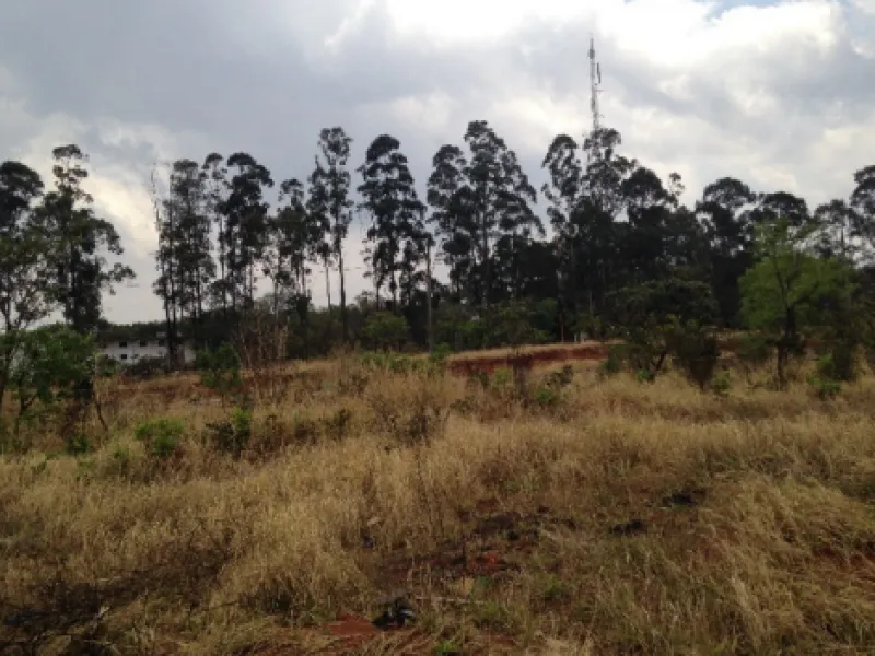 Rua Endereço somente para premium, N°0
