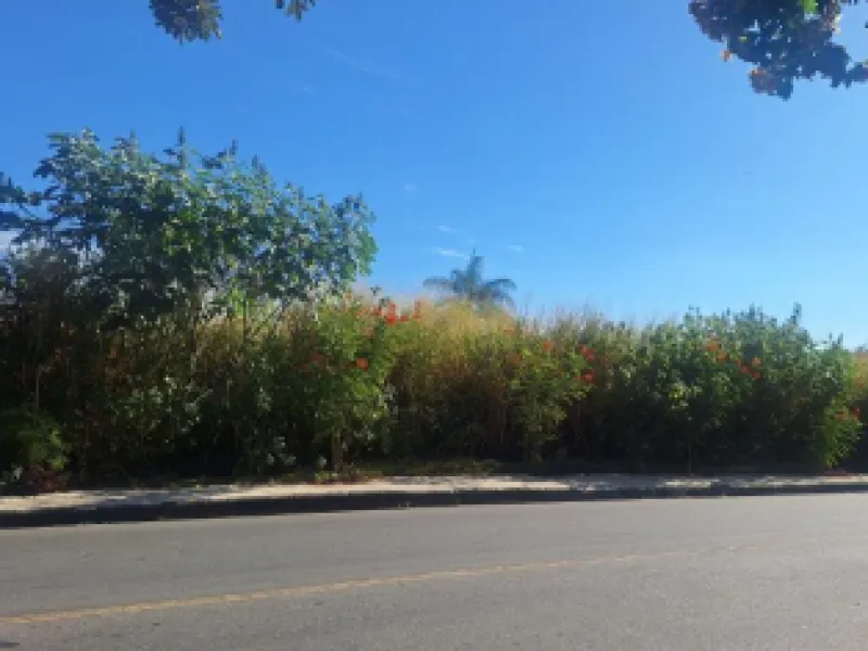 Rua Endereço somente para premium, N°0