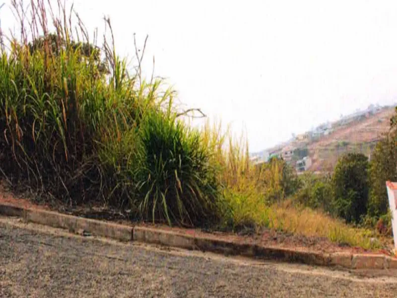 Rua Endereço somente para premium, N°0