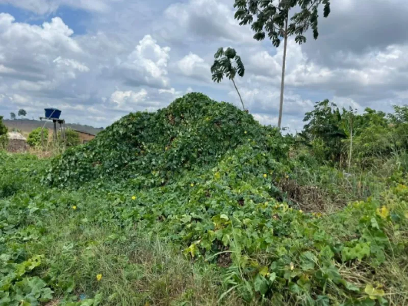 Rua Endereço somente para premium, N°0