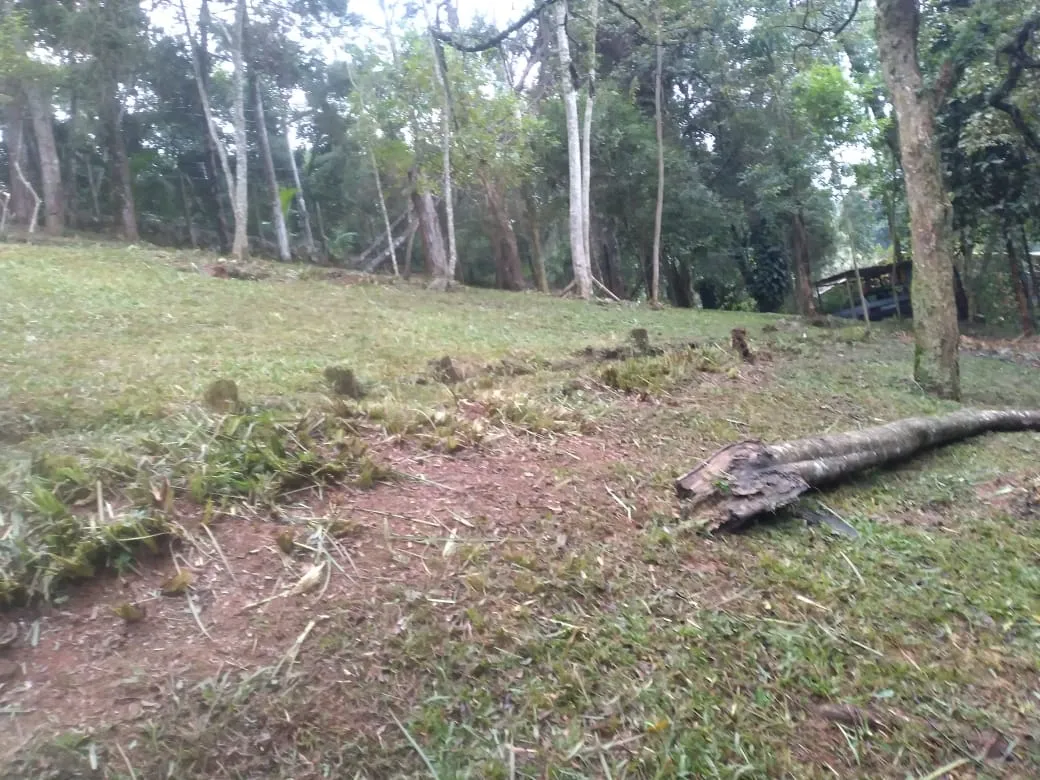 Rua Endereço somente para premium, N°0