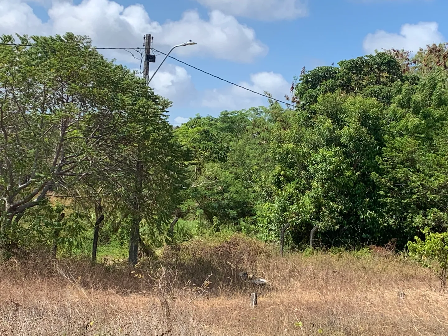 Rua Endereço somente para premium, N°0