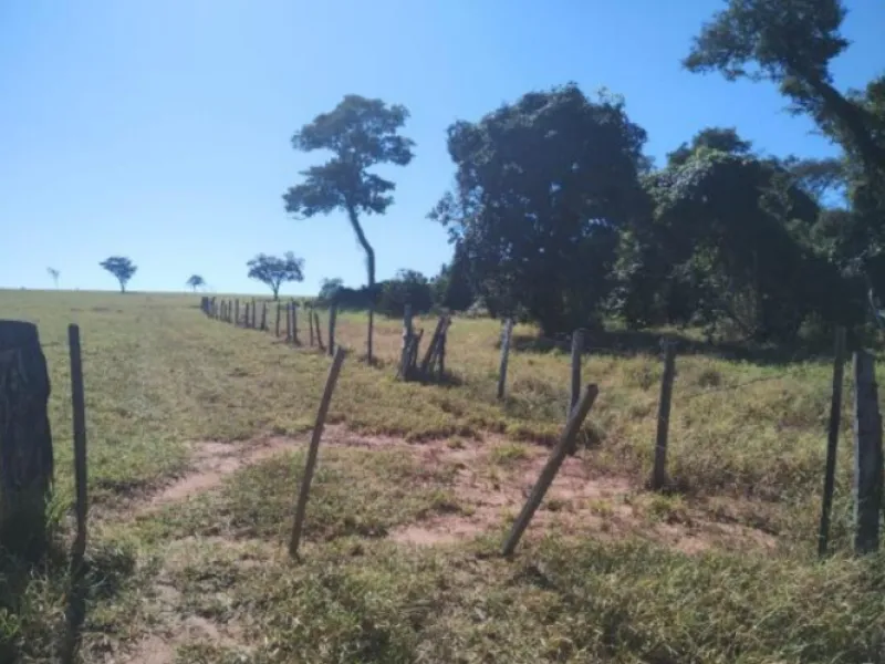 Rua Endereço somente para premium, N°0