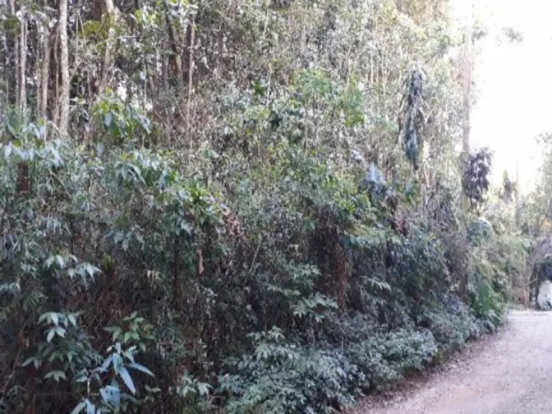 Rua Endereço somente para premium, N°0