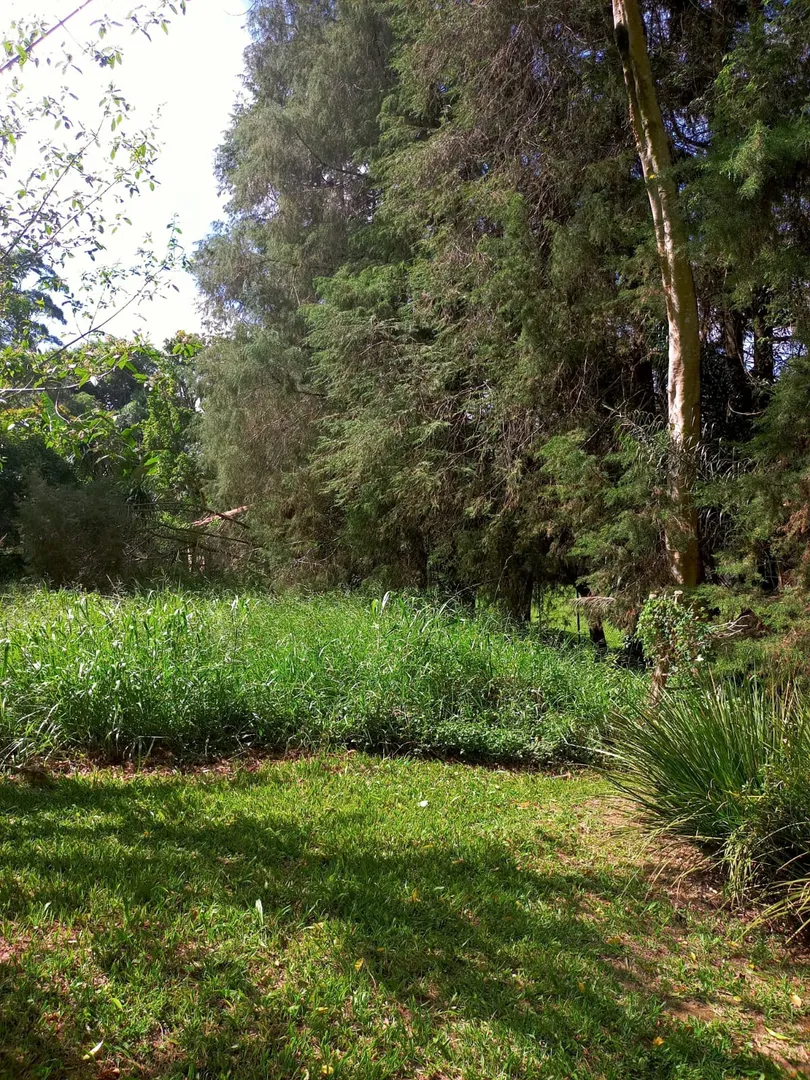Rua Endereço somente para premium, N°0