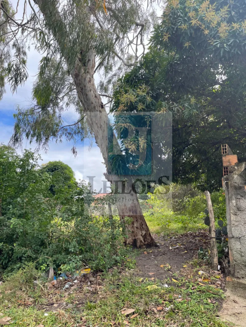 Rua Endereço somente para premium, N°0