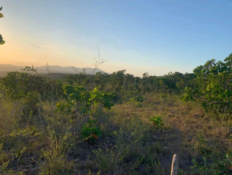 Rua Endereço somente para premium, N°0