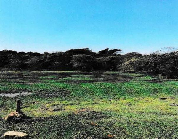 Rua Endereço somente para premium, N°0