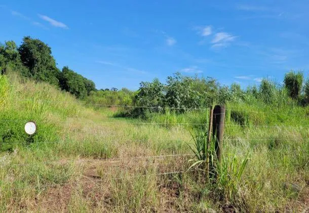 Rua Endereço somente para premium, N°0