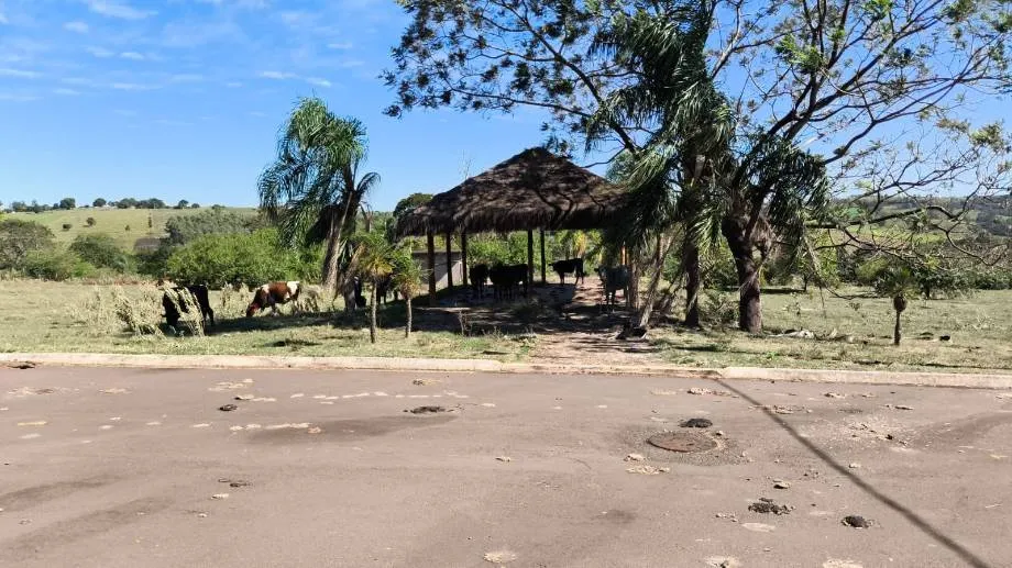 RUA MINAS GERAIS, 123