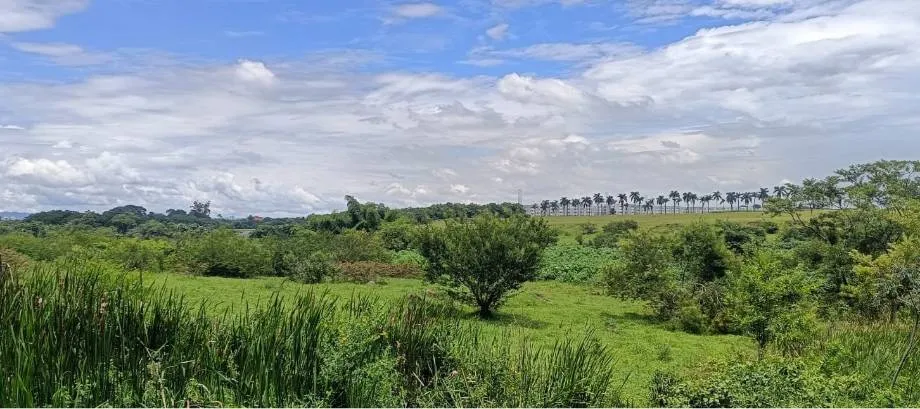 Rua Endereço somente para premium, N°0