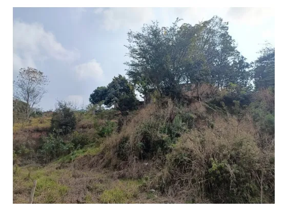 Rua Endereço somente para premium, N°0