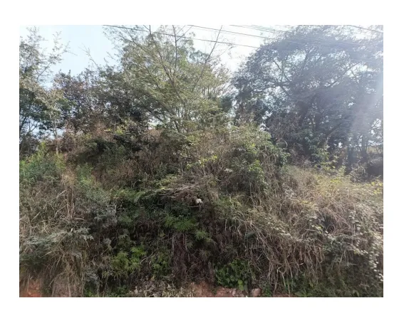 Rua Endereço somente para premium, N°0