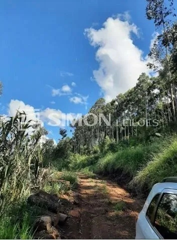 Rua Endereço somente para premium, N°0