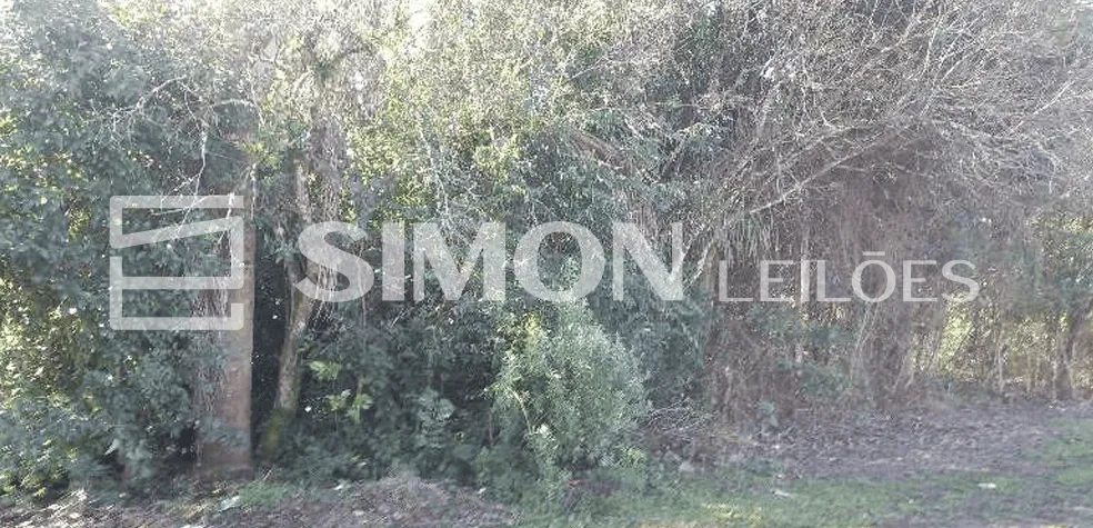 RUA ELPÍDIO C. DA SILVA, BAIRRO SANTA ROSA