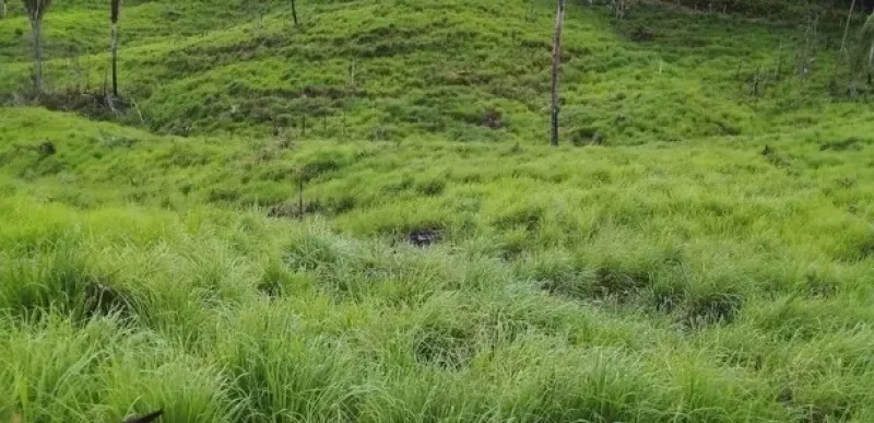 Rua Endereço somente para premium, N°0