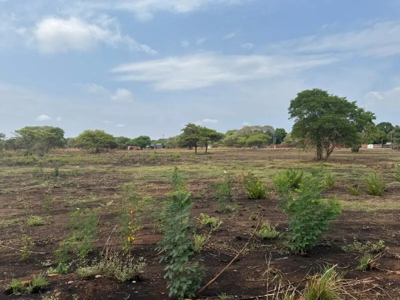 Rua Endereço somente para premium, N°0