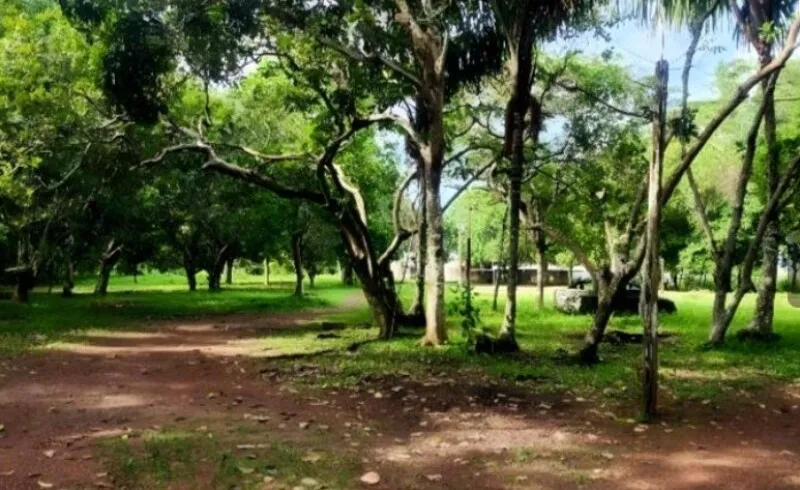 RUA WALTER BARBOSA DE ARAÚJO, 1275