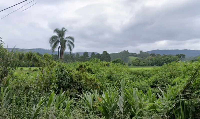 Rua Endereço somente para premium, N°0